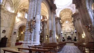 Gabriel's Oboe by Ennio Morricone | Ángel Hortas on the Johannus Ecclesia D-450