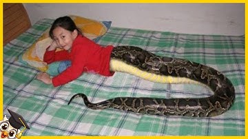 10 Mensen Die Maar 1 Keer In De Duizend Jaar Geboren Worden