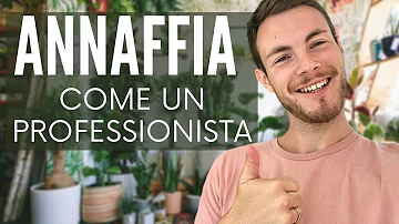 Come capire se ho dato troppa acqua alla pianta?