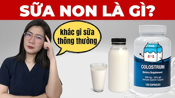 Sữa non là gì? Khác gì so với sữa thông thường? | Thạc sĩ - Bác sĩ Phương Quý