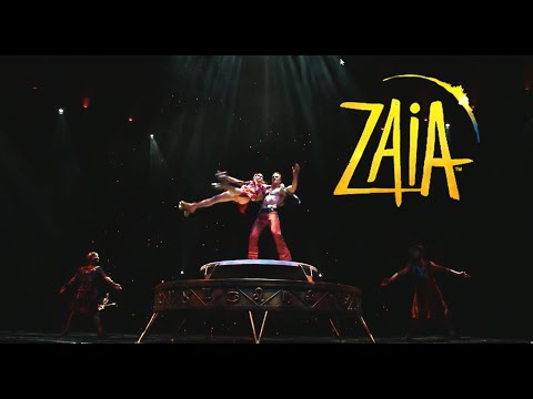 ZAIA 2012 Roller Skates