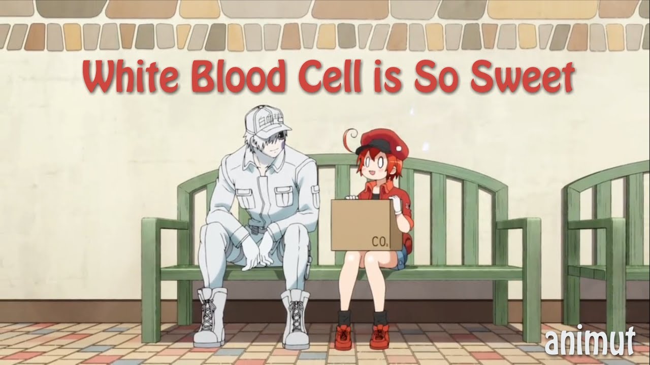 Joeschmo's Gears and Grounds: Hataraku Saibou Black - Episode 8 - White  Blood Cell U-1196 Looks Below