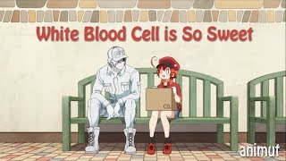 Hataraku Saibou Episode 8 [White Blood Cell is So Sweet]