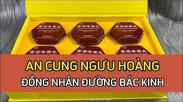 An Cung Ngưu Hoàng Đồng Nhân Đường Bắc Kinh Và Những Điều Cần Biết