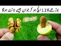 Tastiest Almond and Honey Recipe By Mrdesi | Healthy Breakfast Recipe | Quick and Easy Recipe