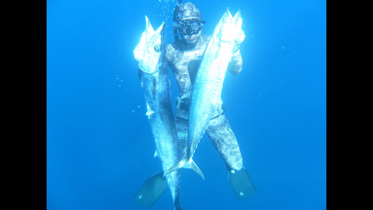 Spearfishing in Zanzibar 2013 Part 1 YouTube