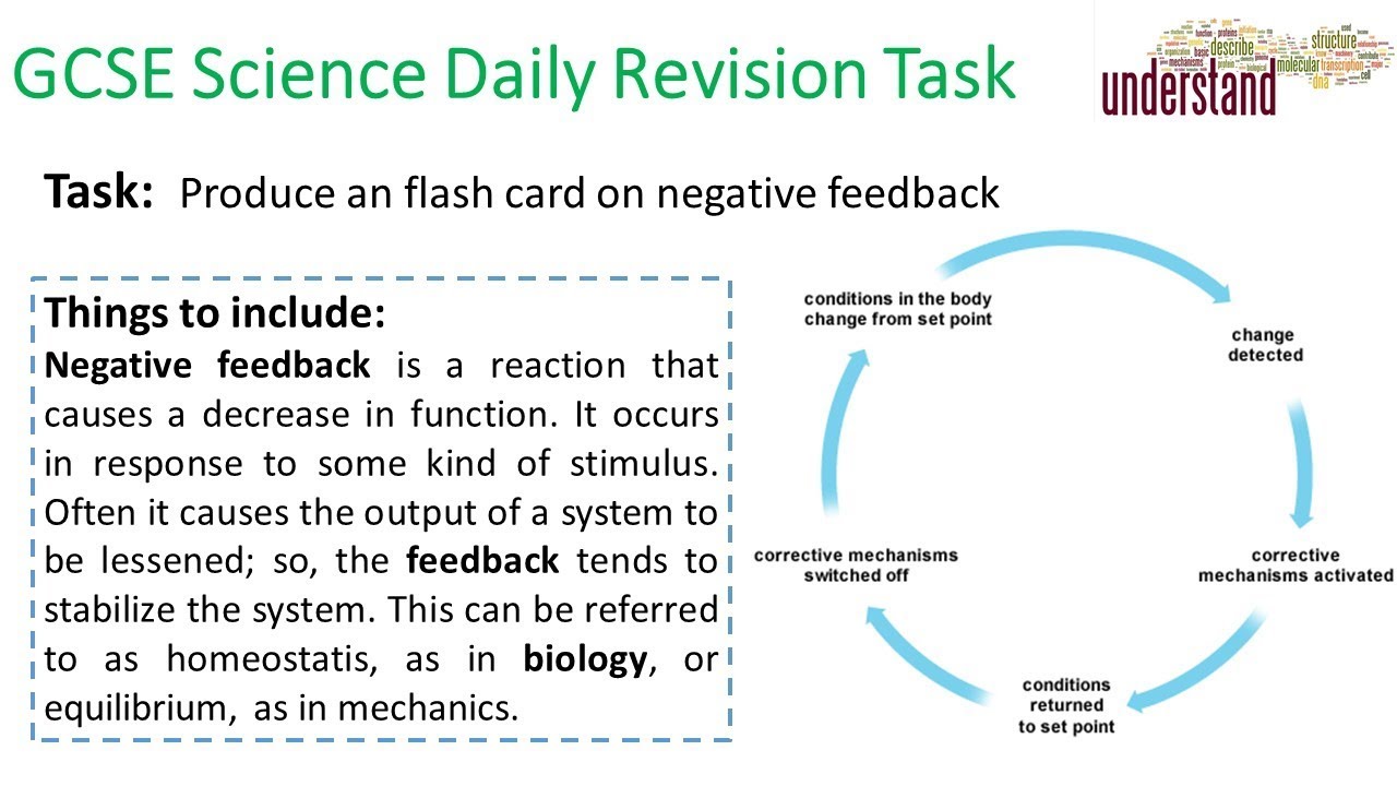 GCSE Science Daily Revision Task 128 - YouTube
