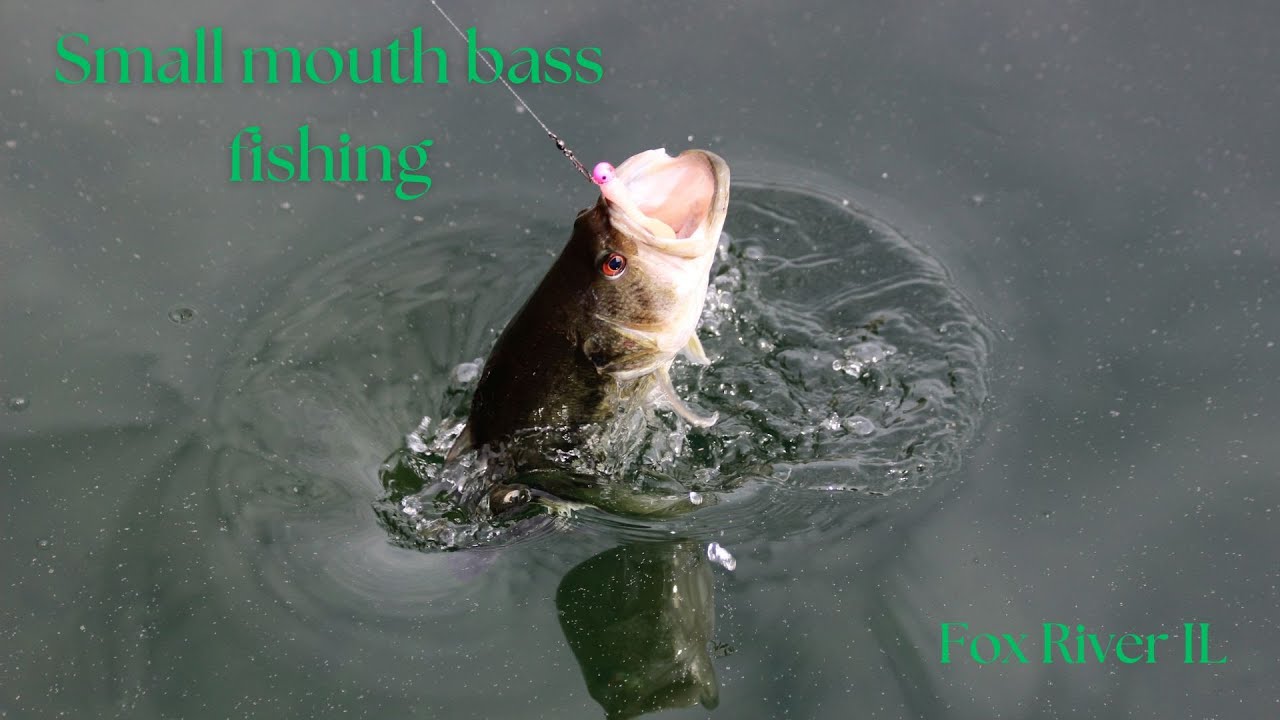 Fox River Smallmouth Bass fishing. Surprise catch!