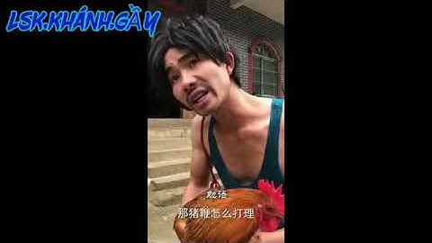 #shorts ,Lồng tiếng Dao đỏ ,iu mienh, iu miền (tập 32 Hai  tiếng Dao)  hài dịch tiếng dao