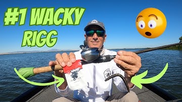 #1 Wacky Rigg System. The VMC Cross Over package.