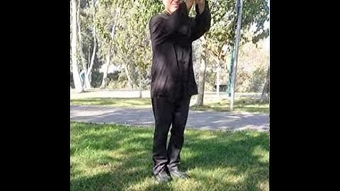 Five Elements Healing Qigong. Practice with Gad Levy Golan!