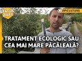 TRATAMENT ECOLOGIC SAU CEA MAI MARE PĂCĂLEALĂ? [Sfatul zilei]