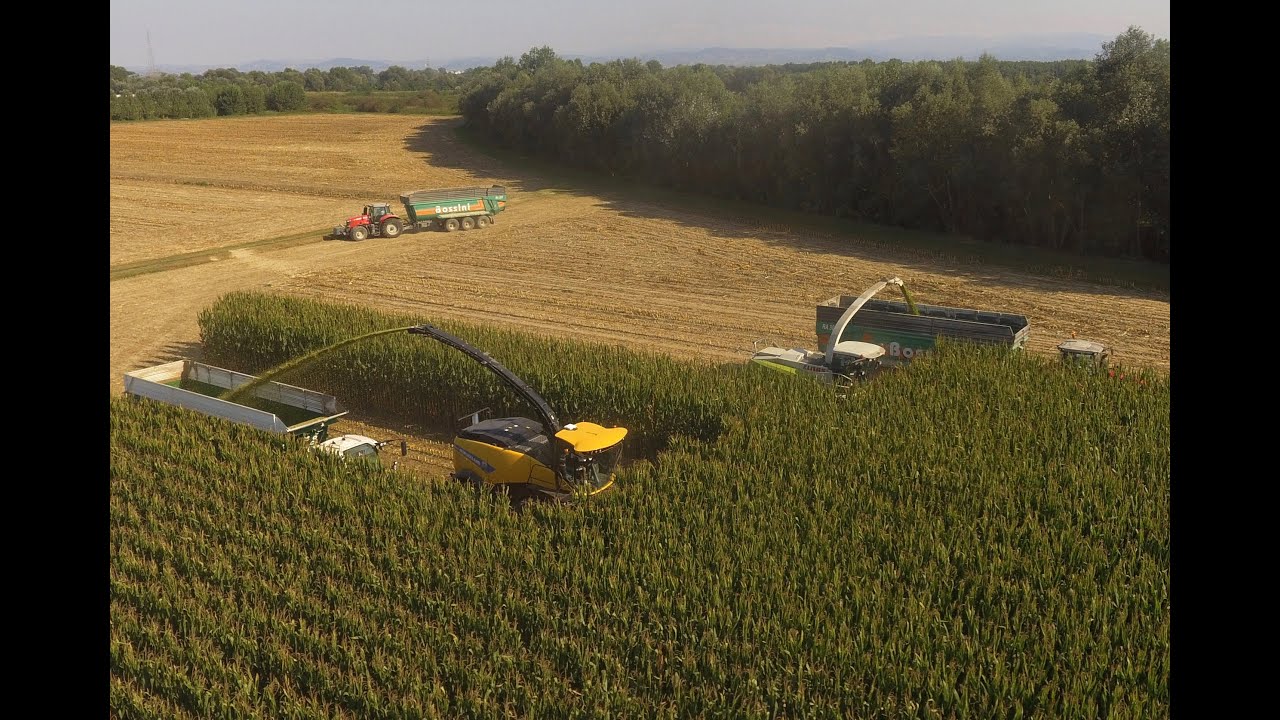 EXPO' MAIS PIONEER / Campo prova Soc. Agr. Dott. Federico Radice Fossati / Mezzana Bigli / Corteva