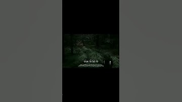 الجزء 8 l وَاللَّهُ يُرِيدُ أَنْ يَتُوبَ عَلَيْكُمْ | سورة النساء : 27 - 28 | للقارئ ياسر الدوسري 🍁