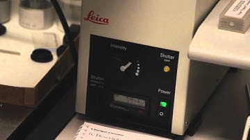 2-5 Your First Use of the Leica SP 5.mp4 (w/ Commentary)