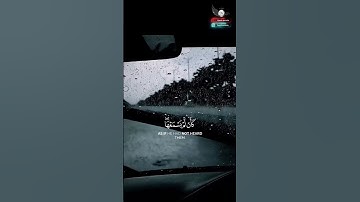 ويل لكل أفاك أثيم | سورة الجاثية | القارئ ياسر الدوسري #تلاوة_خاشعة #ياسر_الدوسري #آيات