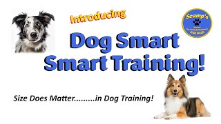 Dog Smart, Smart Training Courses