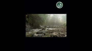 الحشر تجويد 🎙️ #دويتو #nature #اكسبلورفولو #beautiful #اكسبلورر #اكسبلور #mountains #duet