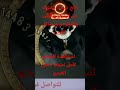 عالج نفسك بنفسك من السحر والمس والعوارض ومشاكل القرين عالج نفسك بنفسك من السحر والمس والعوارض ومشاكل القرين