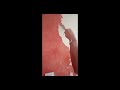 Tuto Comment Enlever Un Enduit Ciré Sur Un Mur 