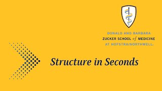 Detailed Structure in Seconds: Pelvic Pouches Profile