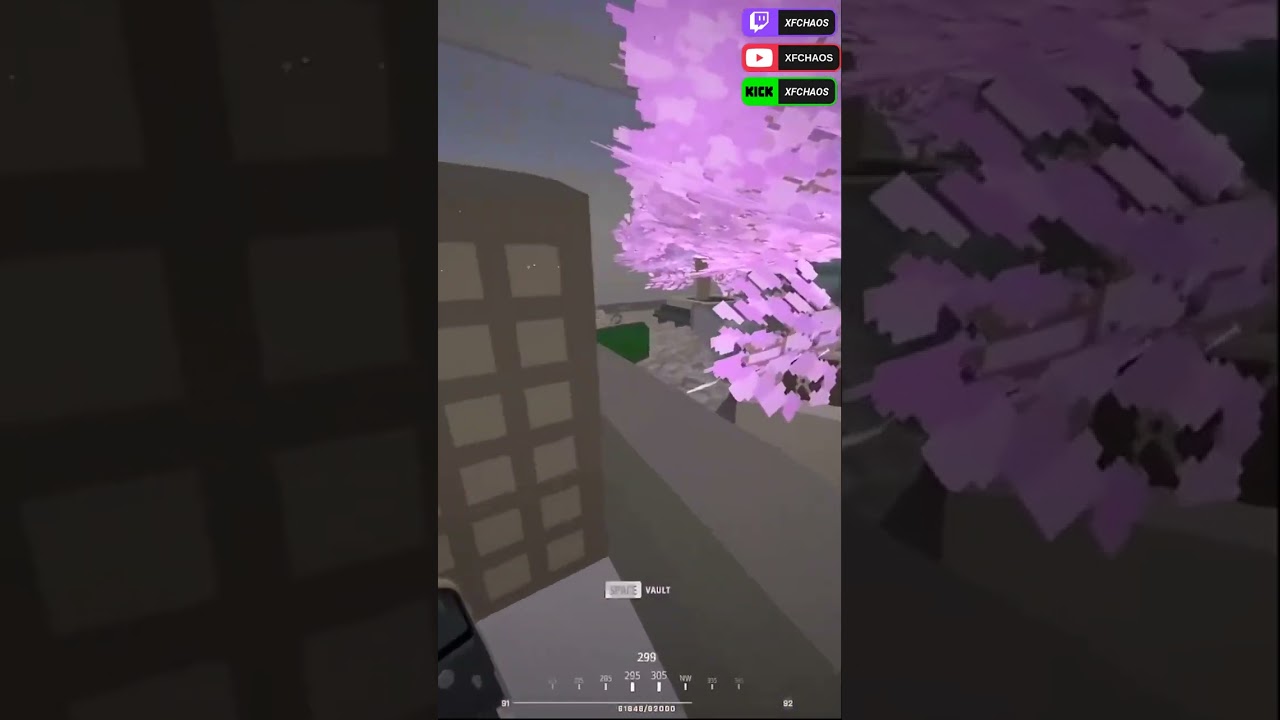 What where they doing there?