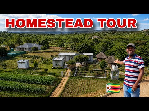 After 28 Years as a Teacher, He Built This Self-Sustaining Rural Homestead in Zimbabwe🇿🇼 