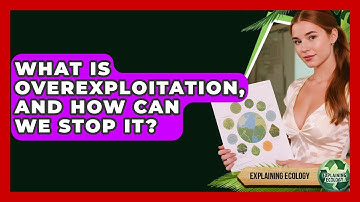 What Is Overexploitation, And How Can We Stop It? - Explaining Ecology