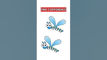 Spot 3 Differences #507
