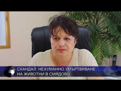 Скандал: Нехуманно умъртвяване