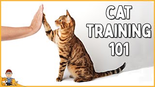 How to train your cat to do ANYTHING (animal behaviorist explains) by Our Pets Health 129 views 2 months ago 37 minutes