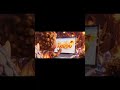 🐉 Leooo Name Reveal | Cute Baby Boy Dragon Theme AI Video | Baby Name Shorts #Leooo #usa