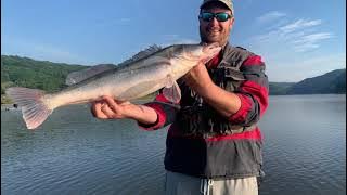 Jezero Celije! Big zander fishing!!!