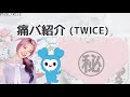 TWICE❁︎痛バ紹介