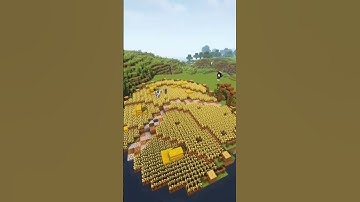 Aesthetic Wheat Farm! 🌾 #minecraft #minecraftshorts #minecraftbuilds #viral