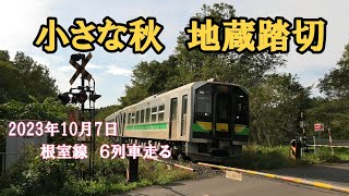 小さな秋！根室線地蔵踏切（特急おおぞら・特急とかち・DECMO）を6列車走る