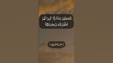 سورة الأنبياء الآية ٥٧ الى ٦١ بصوت الشيخ محمد صديق المنشاوي