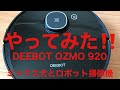 【やってみた‼️】ロボット掃除機に乗るよ〜