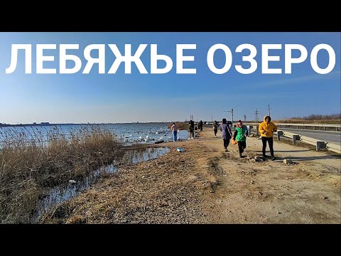 ЕВПАТОРИЯ, прогулка на Лебяжье озеро