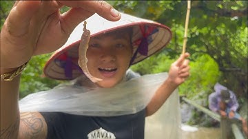 Câu cá bống trơn mùa mưa