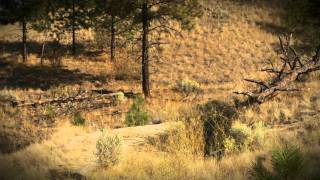 Greg Watts Gary Fisher Web Commercial