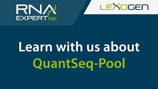 RNA EXPERTise: QuantSeq-Pool – How to Save Even More Time and Money in Expression Profiling