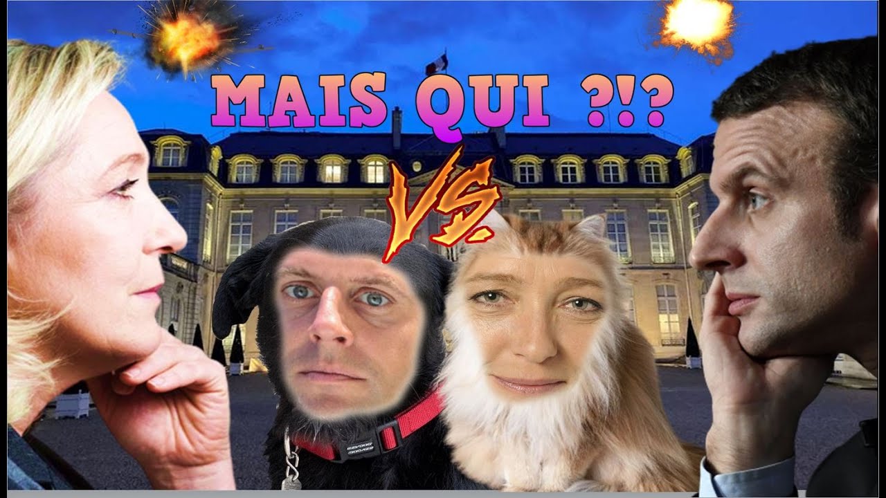 NEWS/ACTU/REACT