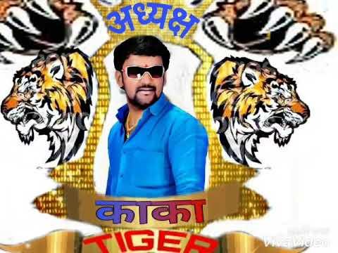 TIGDR SAMRAJYA....