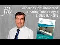 fib Bulletin 96 Guidelines for Submerged Floating Tube Bridges – Chapter 3 by Bjørn Isaksen