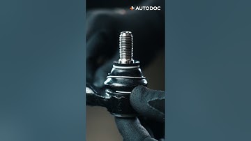 How to install a ball joint dust boot | AUTODOC #shorts