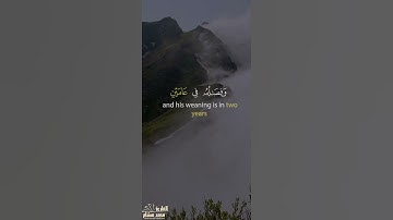 ووصينا الانسان بوالديه حملته امه وهنا على وهن #سورة_لقمان #تلاوة_هادئة #محمد_هشام