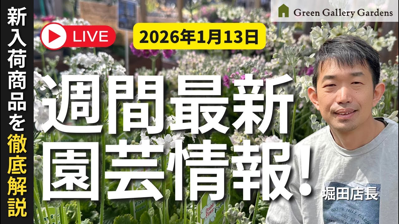 【最新情報】1月13日グリーンギャラリーガーデンズ入荷情報を一挙公開!