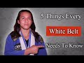 The bjj beginner survival guide