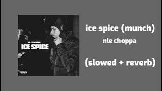 nle choppa - ice spice (munch) (slowed reverb)